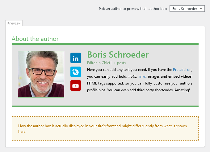 Author Box Editor Preview